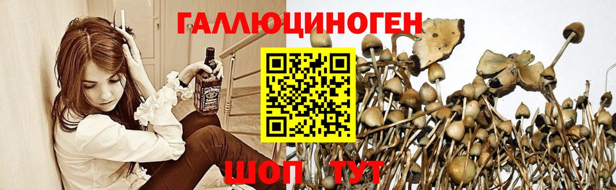 НБОМе  Марихуана  COCAIN  Меф   ГАШ  Вход с VPN  Сафоново  MDMA  ГАШИШ 