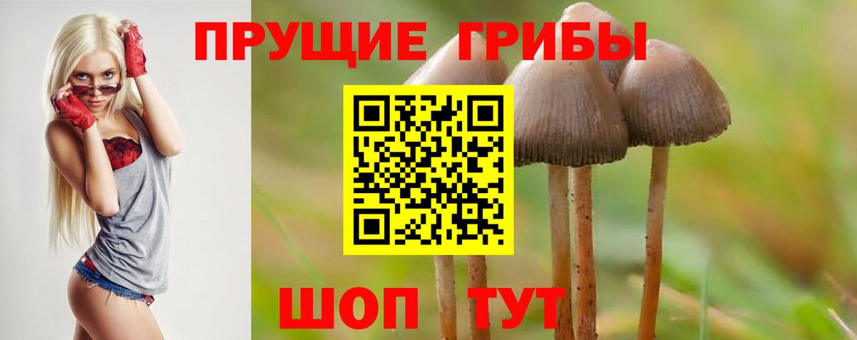 Сафоново  Галлюциногенные грибы мицелий  Псилоцибиновые грибы Psilocybine cubensis  купить наркотики цена  Вход с VPN 